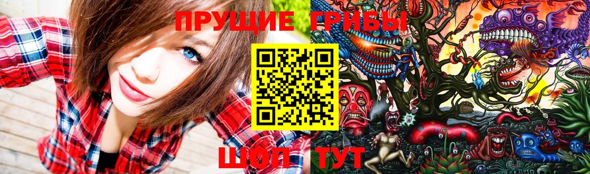 Псилоцибиновые грибы Psilocybine cubensis  Псилоцибиновые грибы GOLDEN TEACHER  Бугуруслан 