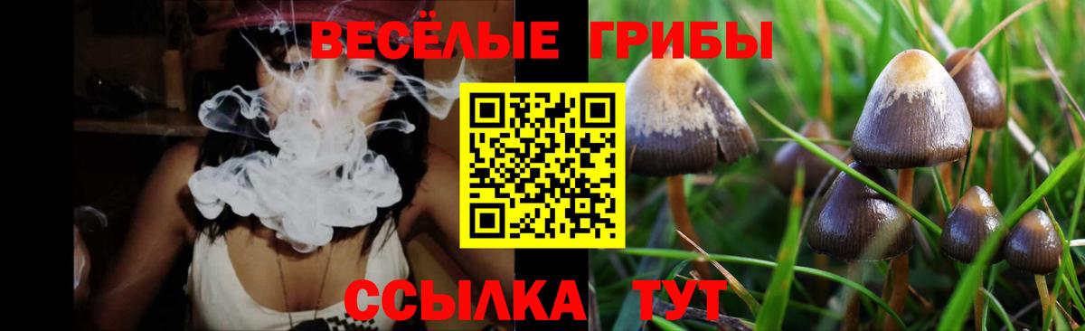 Галлюциногенные грибы Magic Shrooms  Вход с VPN  Бугуруслан 